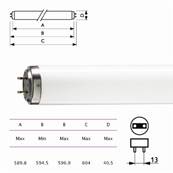 TUBE FLUO DESTRUC INSECTE 40W (20W)