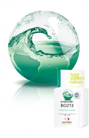 LEVURE ZYMAFLORE BAYANUS BO213 500G