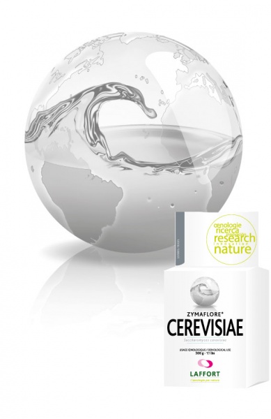 LEVURE ZYMAFLORE CEREVISAE 500