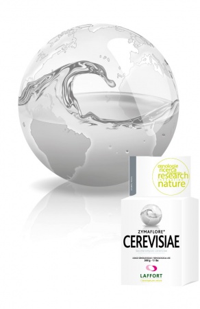 LEVURE ZYMAFLORE CEREVISAE 500