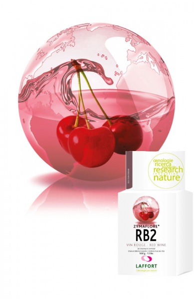 LEVURE ZYMAFLORE RB2 500G