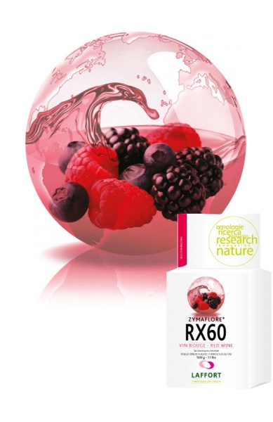 LEVURE ZYMAFLORE RX60 500G