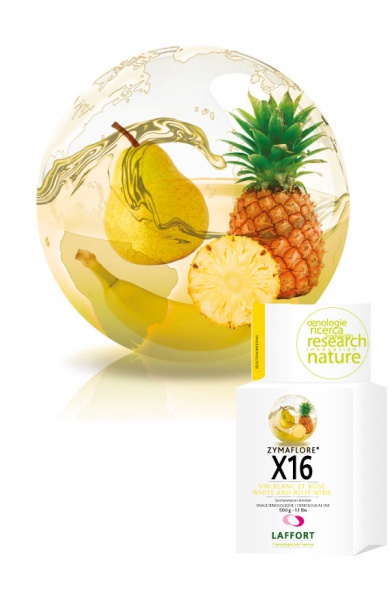 LEVURE ZYMAFLORE X16 500G