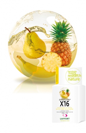 LEVURE ZYMAFLORE X16 500G