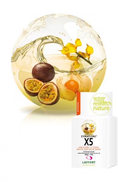 LEVURE ZYMAFLORE X5 500G