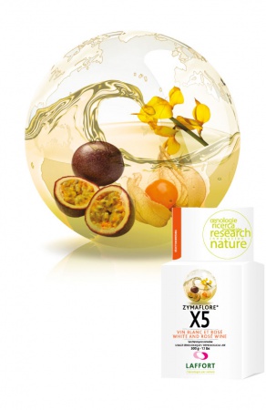 LEVURE ZYMAFLORE X5 500G